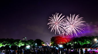 世纪公园烟花节,闪耀夜空，世纪公园烟花节盛大启幕