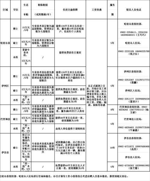 新疆租赁公司名字大全