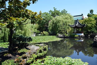 平度市守平蔬菜种植园（平度蔬菜种植