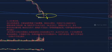 大选利空还是利多比特币,被剥夺政治权利的人可不可以参加村委会选举，被判处缓刑的人能不能参加村委会选举 大选利空还是利多比特币,被剥夺政治权利的人可不可以参加村委会选举，被判处缓刑的人能不能参加村委会选举 活动