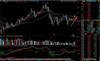 股票资金不在交易日突然翻了一倍,原来只有100只，今天变成3000只，怎么回事