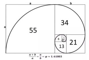 斐波那契数列在生活中有哪些典型的应用