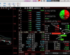 在哪里能查到,每天股票的委买和委卖数量