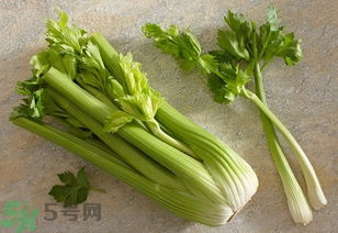 芹菜和韭菜能一起吃吗 芹菜和韭菜可以一块包饺子吗