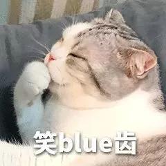 第一次养猫时,你都闹过哪些笑话