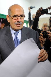 联合国前高官巴拉迪被任命为埃及过渡政府总理 