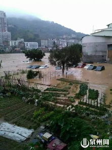安溪大雨致河水暴涨30多辆车被淹 保险公司介入理赔 