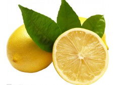 柠檬 柠檬批发 柠檬供应 