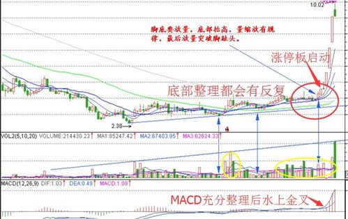 炒股票需要理论知识作为依托吗？