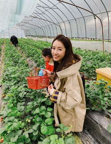 张子萱带女儿摘草莓,可大家都奇怪为什么只摘白的 原来在炫富
