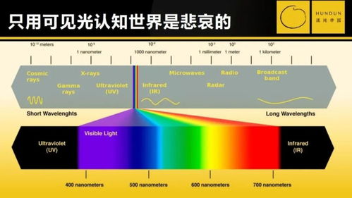 华大集团CEO尹烨 万命互联时代,如何应对复杂系统中的复杂问题