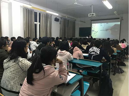 郑州绿叶电脑学校-打造专业教育品牌，助力学子实现梦想