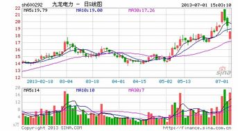 请专家掌股：九龙电力