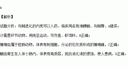 下表列举了四种生物及其身体的一个明显特征.一项重要影响或价值.匹配错误的是 选项生物名称明显特征重要影响或价值A河蚌贝壳海螵鞘入药B沙蚕疣足鱼.虾饵料C珊瑚虫刺细胞珊瑚礁 