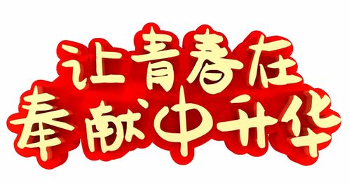 2019年度优秀共青团员先进事迹 二