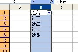 有一个包含很多名字的excel的表,怎么设置一个下拉列表框,我从中选出一个姓,就把包含此姓的名字都显示出来 