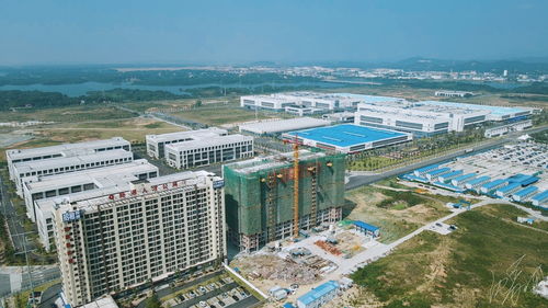8月份岳阳中心城区新建商品房共成交2126套,面积24.55万㎡
