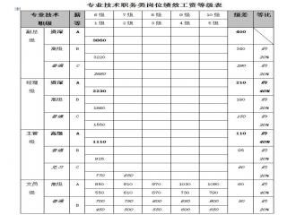 专业技术岗位等级标准,职称是如何分等级的？-第3张图片