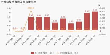 红墙股份：上半年非经常性净利润增长98.48%