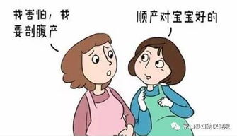 双胞胎是建议顺产还是刨妇产