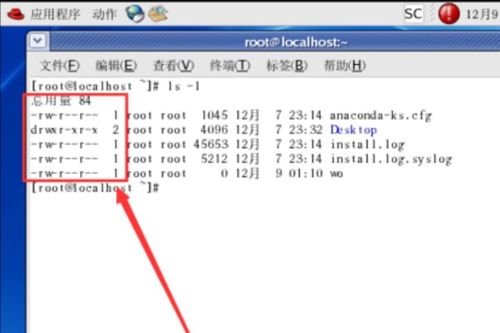 linux查看文件夹权限,Linux查看文件夹权限详解