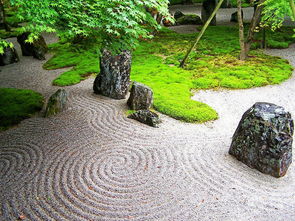 长沙枯山水室内外景观制作 案例赏析 植来植趣