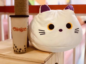 官网 啡猫记奶茶店加盟条件和优势