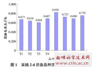 花粉活力毕业论文