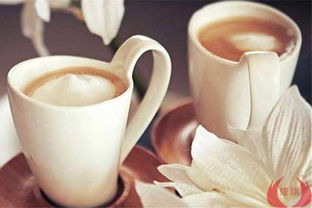 什么是烤奶茶 烤奶茶和奶茶有什么区别 