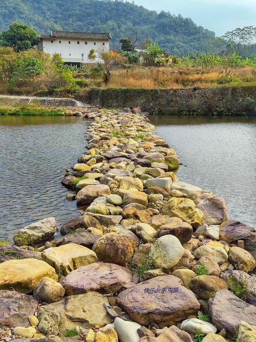 梅州市梅江区西阳镇筀竹村,山清水秀,野花飘香,不愧为休闲养心的好地方