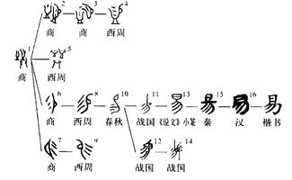 书名为摩羯座？书名为摩羯座什么意思(摩羯座代表什么字)