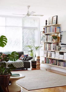 室内 绿植哪家好,室内绿植哪家好？推荐这5款绿植，让你的家居更宜居！