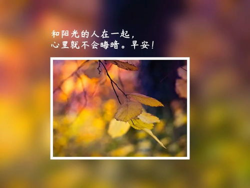 早安祝福短句正能量励志—早安励志正能量？