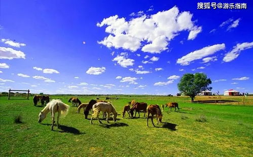 内蒙古十大旅游景点的地方,推荐大家