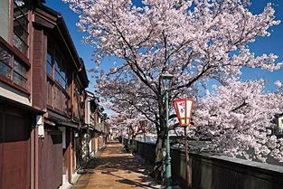 人称小京都的金泽,却简直要把京都比下去 第六感别墅度假 