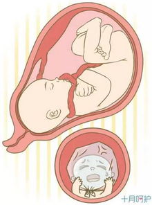 原创孕期“脐带绕颈”会勒到胎宝吗？这3件事，孕妈可要搞清楚！