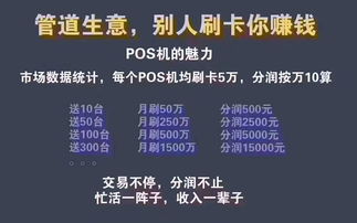 POS办理个人业务：了解流程与注意事项