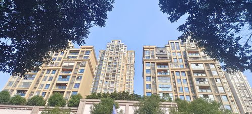 在重庆买房,1楼才是你最好的选择