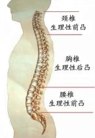 腰椎变直怎么恢复生理曲度,腰椎变直是腰