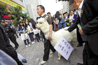 获利盘多好，还是套牢盘多好