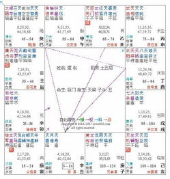 紫微斗数看你人生的格局大小,人人都可以看懂 