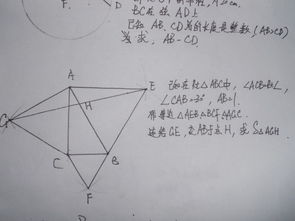 几道初中的数学几何题目 