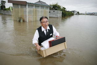 中国 德国 澳大利亚 日本发生暴雨之后的不同