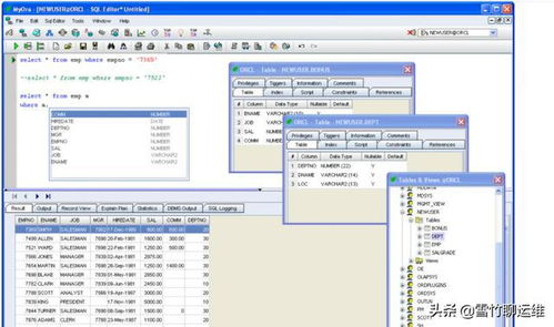 oracle故障信息收集工具有哪些功能和作用