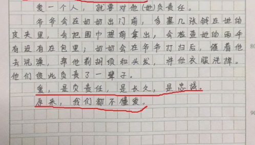 什么是爱情的作文