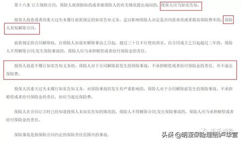 共同被保险人英语条款,保险人详细资料大全