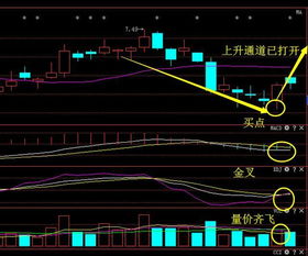 股票601919后期走势,601919后期