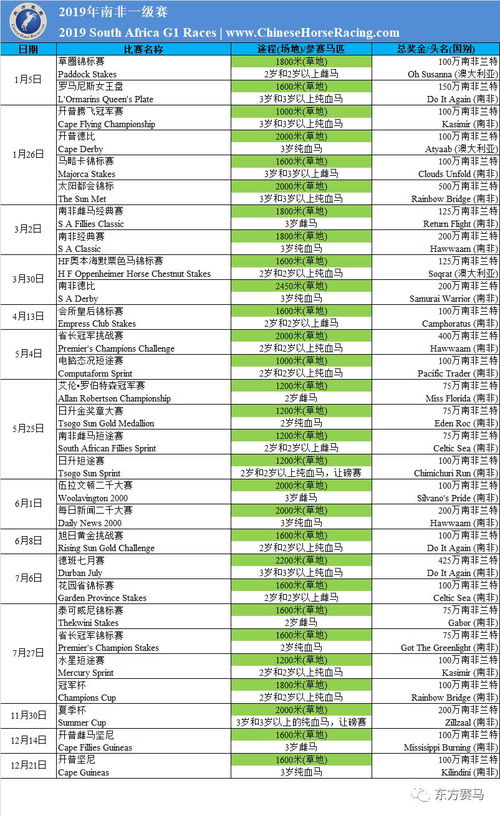 晚上你懂网址2019(年秒懂网址推荐)