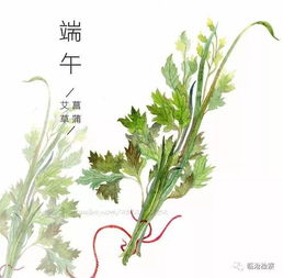 端午节 最具特色传统活动