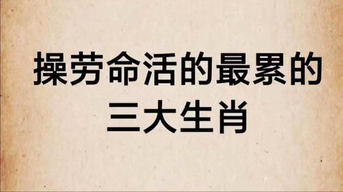 操劳命活的最累的三大生肖,是你吗